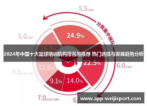 2024年中国十大篮球培训机构排名与推荐 热门选择与发展趋势分析